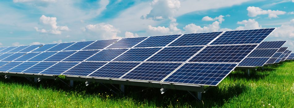 investir em Painel Solar
