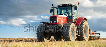 Sector agrícola