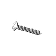 Oval Head A A Screw