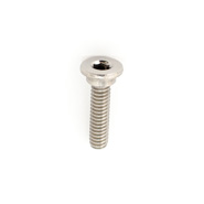 Screws For Glass Structures